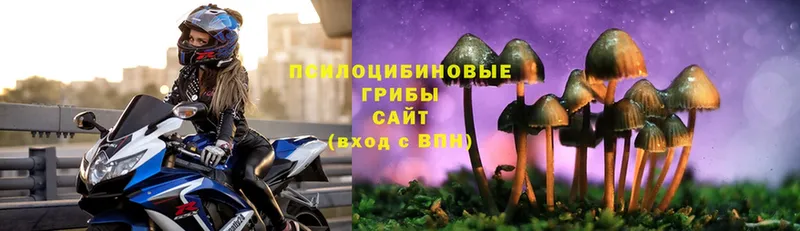 Псилоцибиновые грибы Cubensis  mega ССЫЛКА  Баймак 